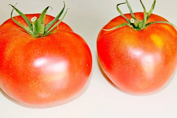 Tomate sobre um fundo branco — Fotografia de Stock