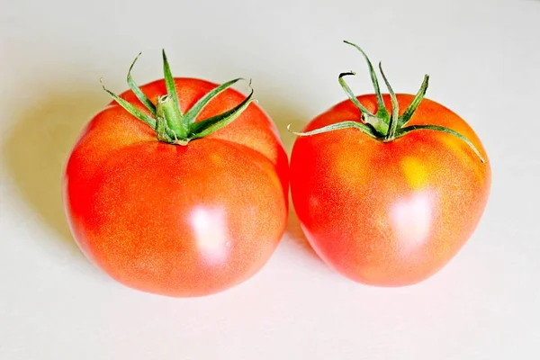 Tomate sobre um fundo branco — Fotografia de Stock