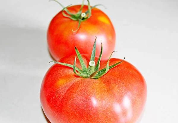 Tomato on a white background — Stock Photo, Image