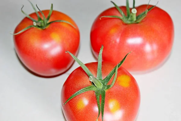 Tomate sobre um fundo branco — Fotografia de Stock