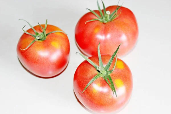 Tomate sobre um fundo branco — Fotografia de Stock