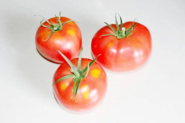 Tomate sur fond blanc — Photo