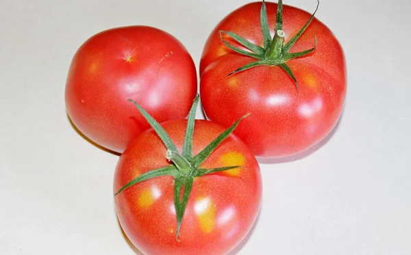 Tomat på en vit bakgrund — Stockfoto