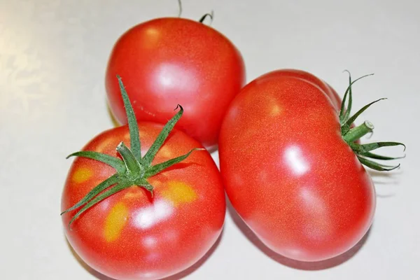 Tomate sobre um fundo branco — Fotografia de Stock