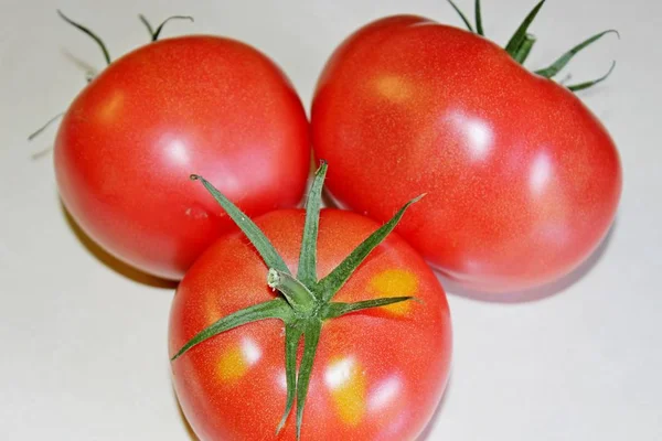 Tomate sur fond blanc — Photo