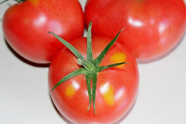 Tomate sobre um fundo branco — Fotografia de Stock