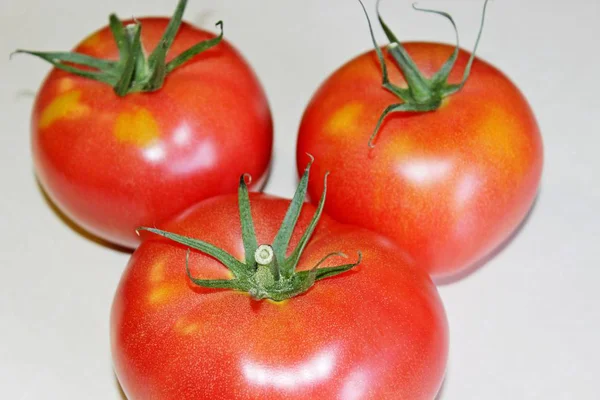 Tomate auf weißem Hintergrund — Stockfoto