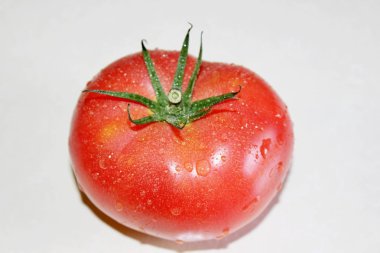 Beyaz arkaplanda domates