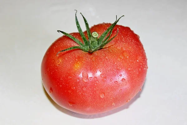 Tomate auf weißem Hintergrund — Stockfoto