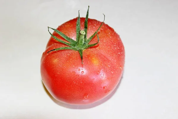 Tomate sobre um fundo branco — Fotografia de Stock