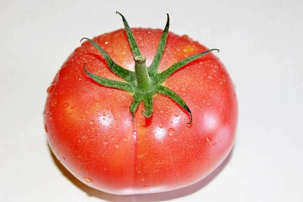 Tomate sobre fondo blanco — Foto de Stock