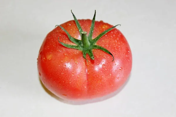 Tomate sobre um fundo branco — Fotografia de Stock