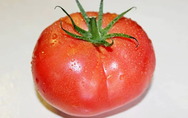 흰 배경에 있는 토마토 — 스톡 사진