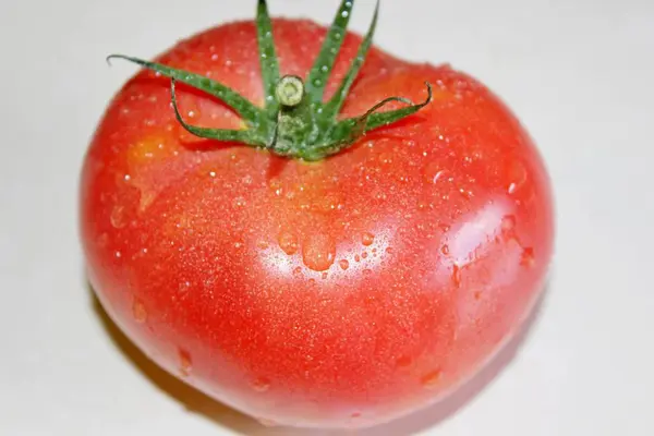 Tomate auf weißem Hintergrund — Stockfoto