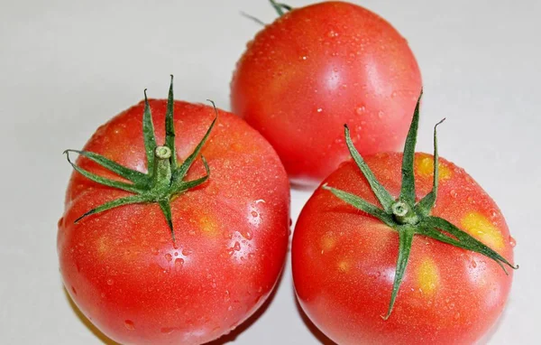 Tomato on a white background — Stock Photo, Image