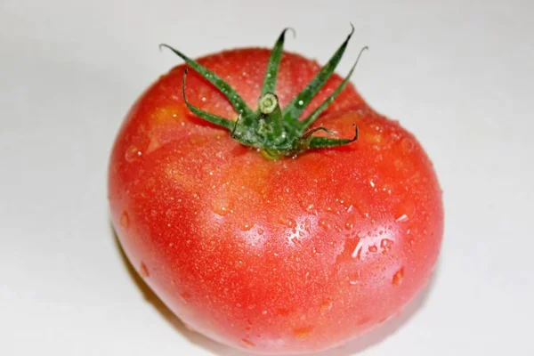 Tomate sobre fondo blanco — Foto de Stock