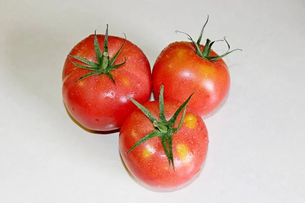 Tomate sobre um fundo branco — Fotografia de Stock