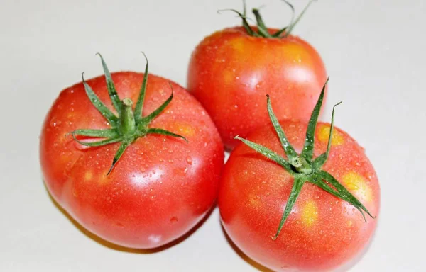Beyaz arkaplanda domates — Stok fotoğraf