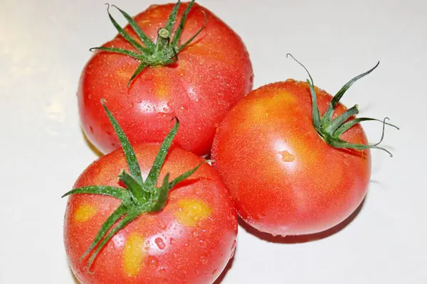 Tomato on a white background — Stock Photo, Image