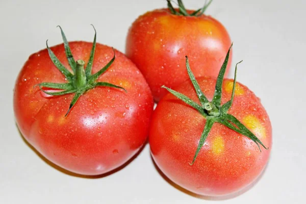 Tomate sur fond blanc — Photo