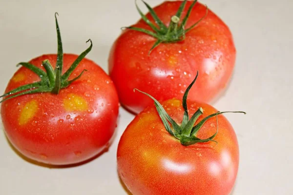 Tomate sur fond blanc — Photo