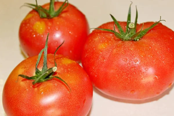 Tomate auf weißem Hintergrund — Stockfoto