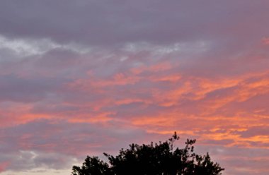Güzel bulutlar pembe günbatımı yaz akşamı güzellik