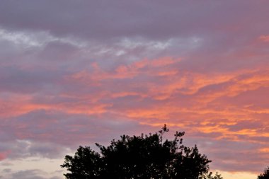 Güzel bulutlar pembe günbatımı yaz akşamı güzellik