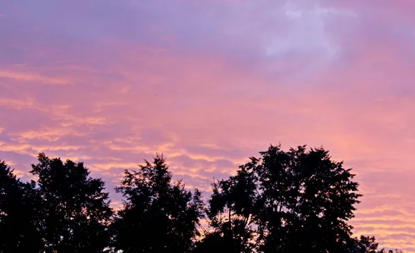 Güzel bulutlar pembe günbatımı yaz akşamı güzellik — Stok fotoğraf