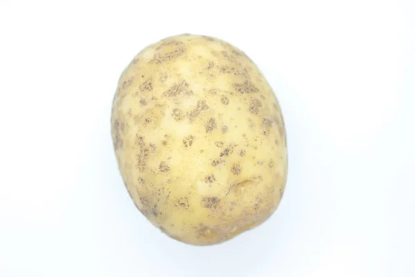 Rijpe aardappel Knol op een witte achtergrond — Stockfoto