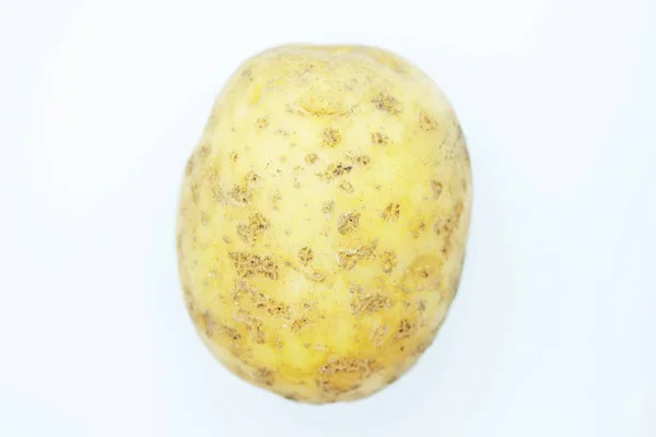 Batata madura Tuber localizado em um fundo branco — Fotografia de Stock