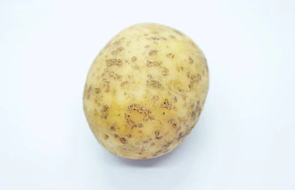 Ripe Potato Tuber terletak di latar belakang putih — Stok Foto