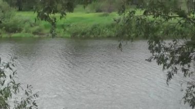 Yeşil ağaçlar nehir bulutlu hava rüzgar yaz tatili