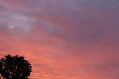 Yaz şehir bulutlar ağaçlar güzel pembe gün batımı