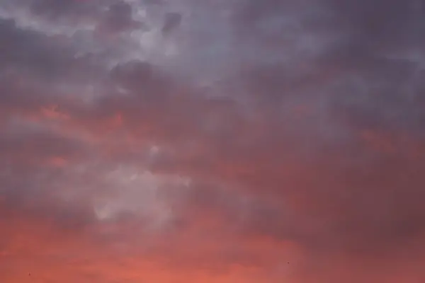 Yaz şehir bulutlar romantik güzel pembe gün batımı — Stok fotoğraf