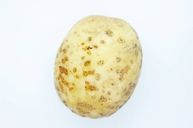 Beyaz arka planda soyulmamış çiğ patates