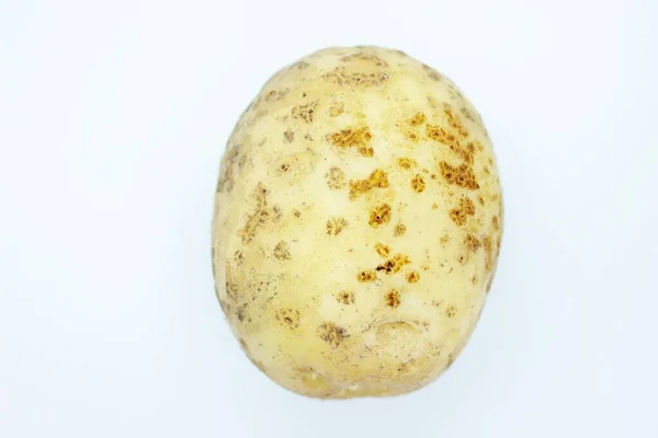 Patatas crudas sin pelar situadas sobre un fondo blanco — Foto de Stock