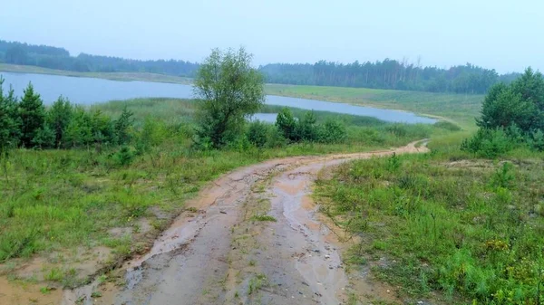 Skogssjöskog, natur, landskapsfiske — Stockfoto