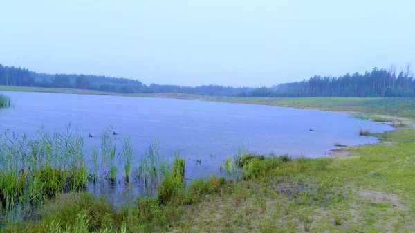 Bosque lago bosque, naturaleza, pesca del paisaje — Foto de Stock