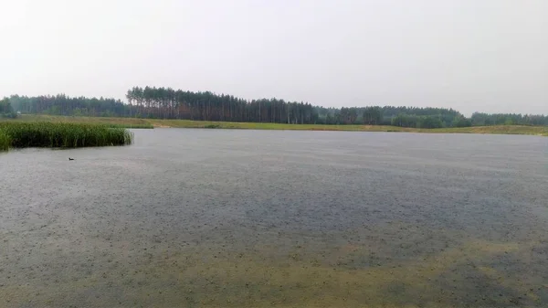 Bosque lago bosque, naturaleza, pesca del paisaje — Foto de Stock