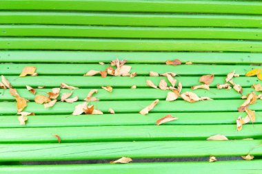 Parktaki yeşil bank Sonbaharda parkta kuru yapraklar