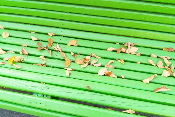 Groene Bank Het Park Droge Bladeren Het Park Herfst — Stockfoto