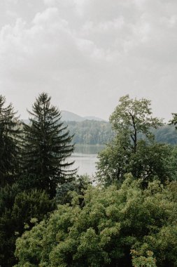 arka plan üzerinde ormandaki güzel göl