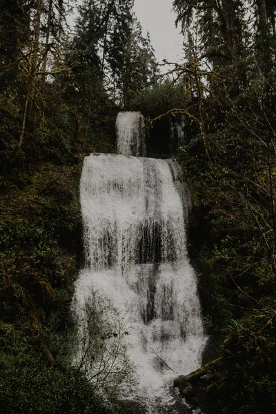 Cachoeira Fluindo Floresta Verde — Fotografia de Stock