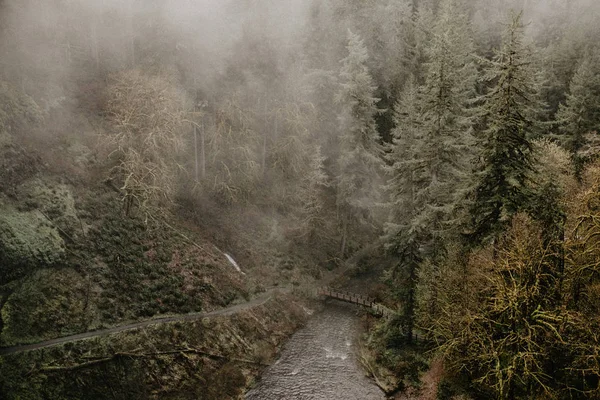 Río Montaña Que Fluye Través Del Bosque Verde — Foto de Stock