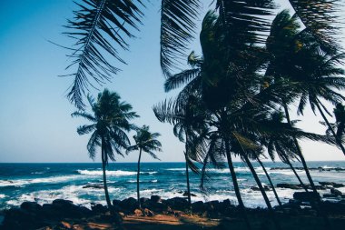 güzel gün batımı ile sahilde avuç içi