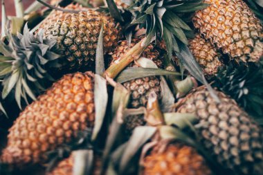 Ananas arka plan / sri lanka ananas arka plan