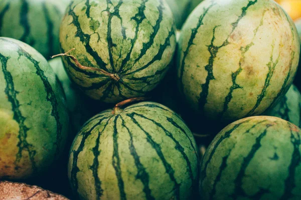 背景上的许多大的甜绿色西瓜 — 图库照片
