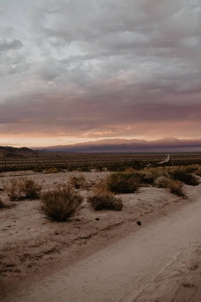 Desert Sandy Soil Hills Mountains — Stock Photo, Image