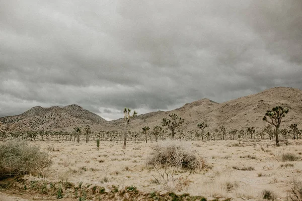 Пейзаж Долины Пустыни Скалами Горами — стоковое фото
